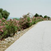  Samaria Gorge